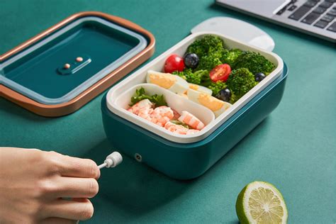 can you cook in an electric lunch box|freezer friendly lunch box ideas.